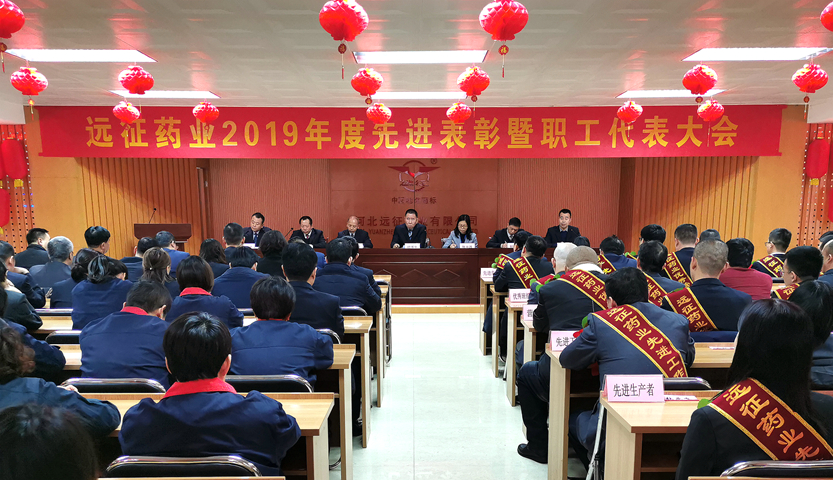 揚楷模鼓舞士氣  展藍(lán)圖干勁十足